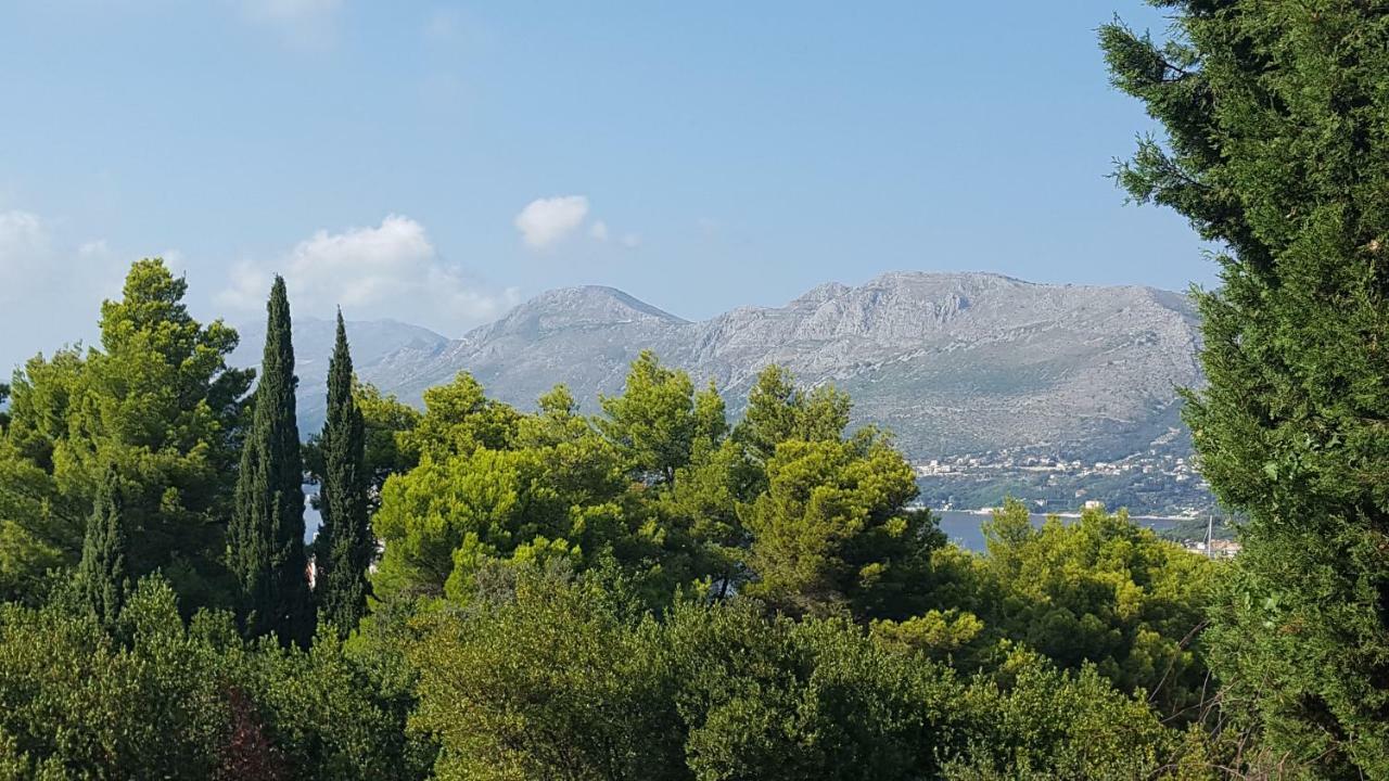 Guest House Sol Cavtat Εξωτερικό φωτογραφία